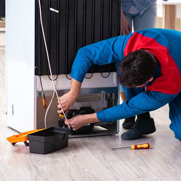 what are the common refrigerator repair services in North Pitcher